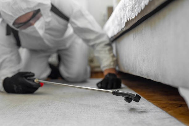 Professional Bed Bug Control technician working in Ketchikan, AK