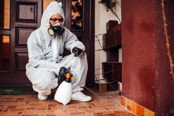 Reliable Bed Bug Control contractor in Ketchikan, AK by Nex Pest Control